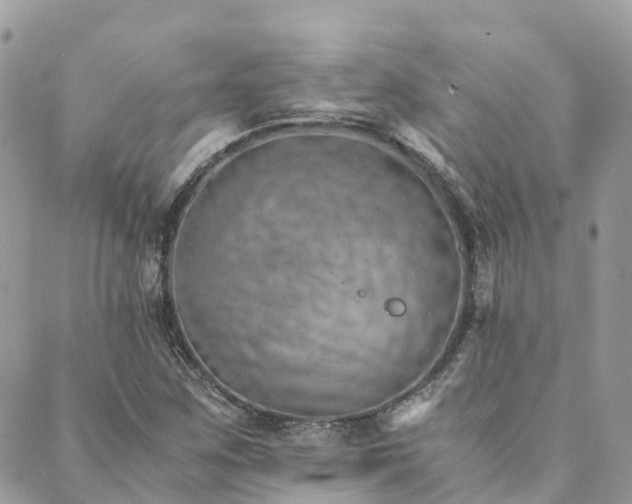 X0000089931259200706291149