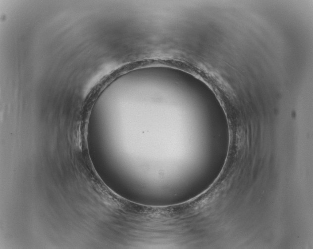 X0000089931262200706291149