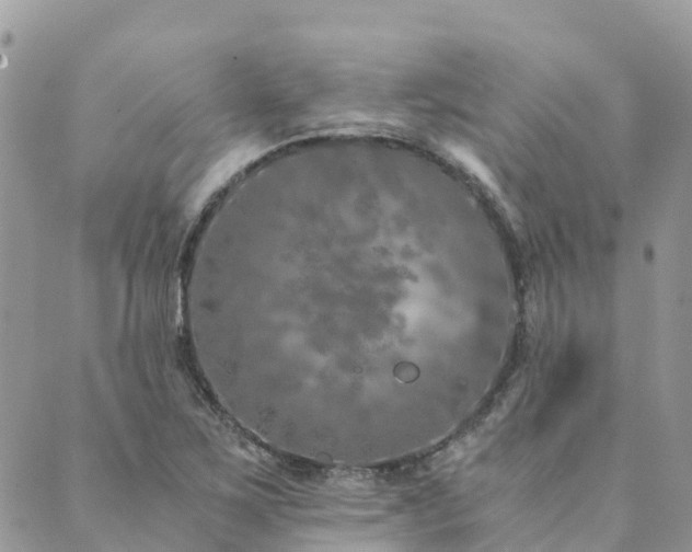 X0000089931267200706291149