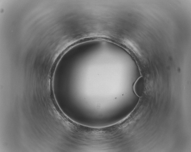 X0000089931268200706291149