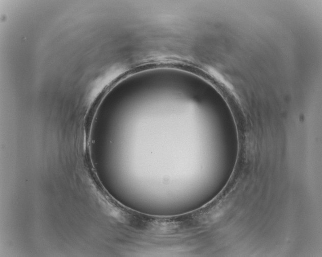 X0000089931269200706291149