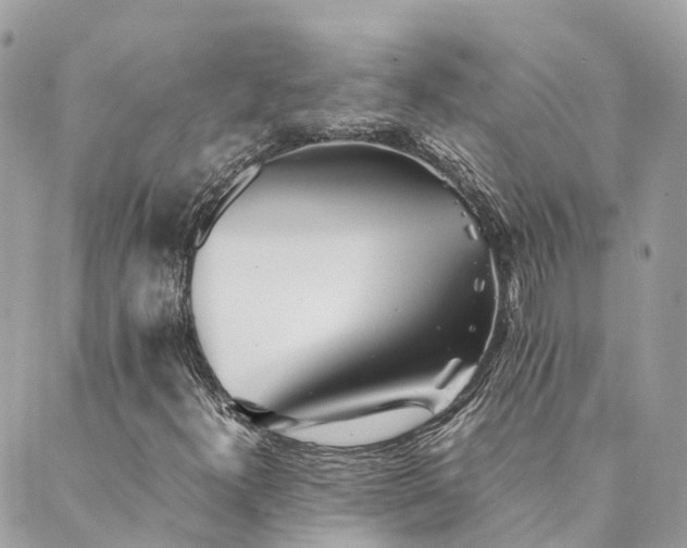 X0000089931300200706291147