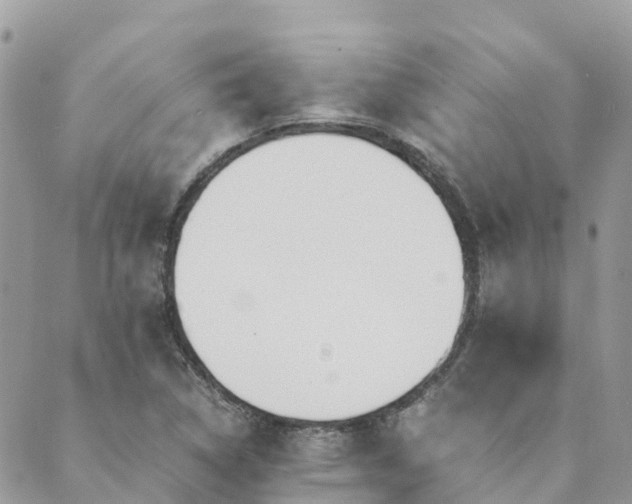 X0000089931314200706291148