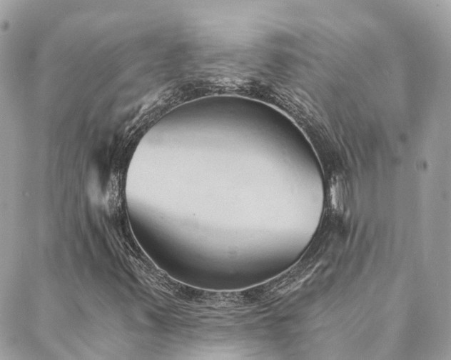 X0000089931347200706291147