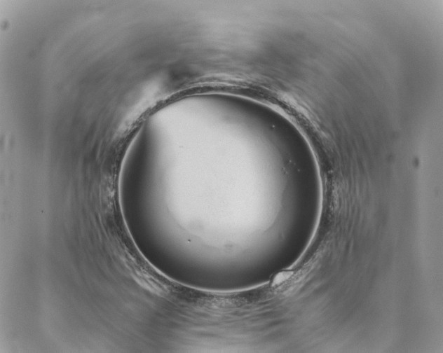 X0000089931355200706291147