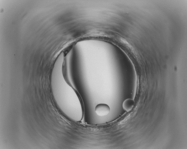 X0000089931361200706291147