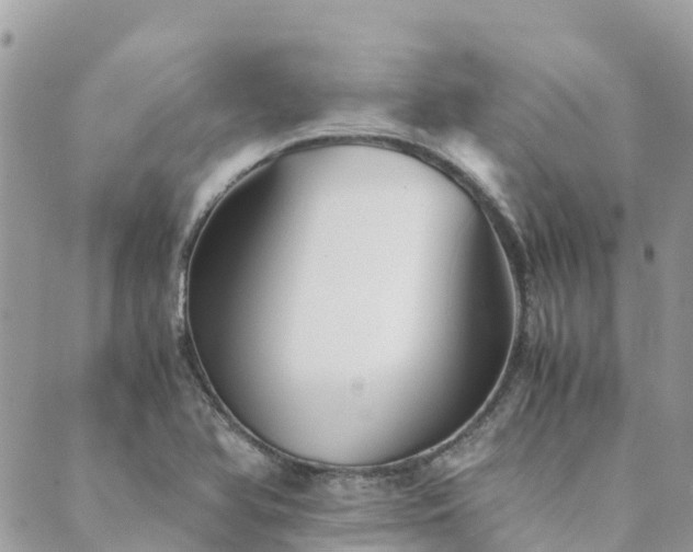 X0000089931366200706291147