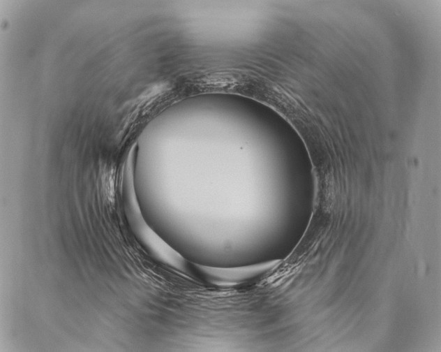 X0000089931394200706291146
