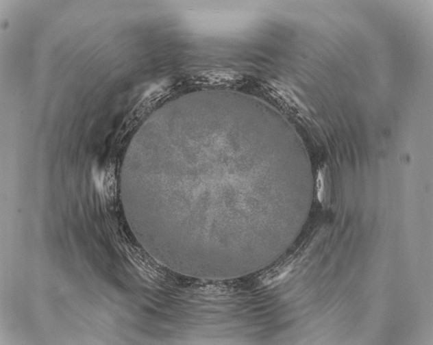 X0000089931395200706291146