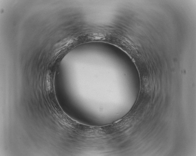 X0000089931442200706291146