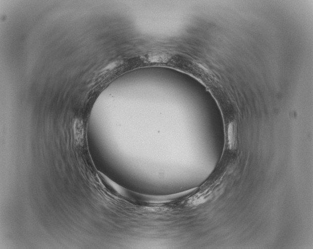 X0000089931443200706291146