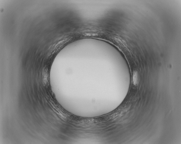 X0000089931444200706291146