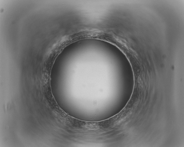 X0000089931447200706291146