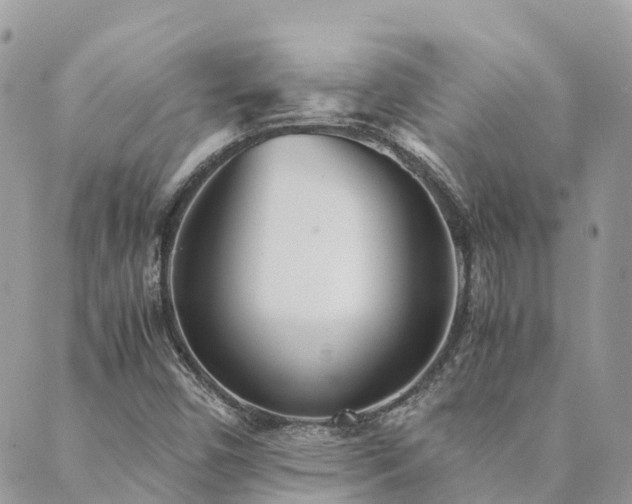 X0000089931450200706291146