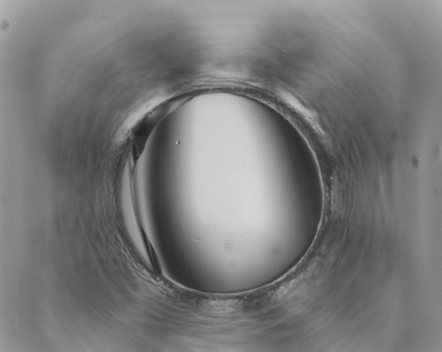 X0000089931453200706291146