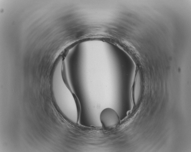 X0000089931457200706291145