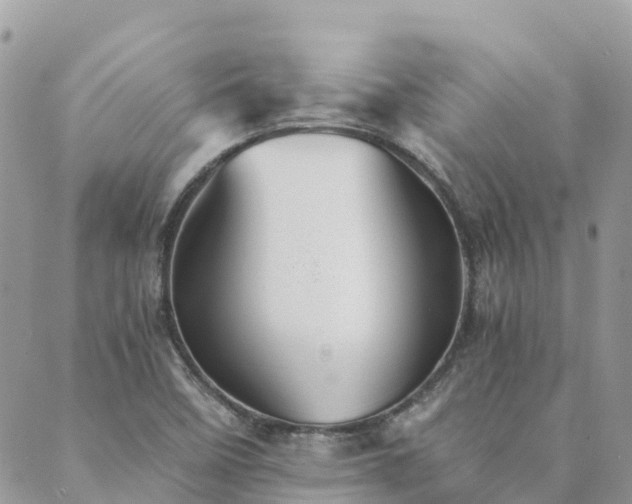 X0000089931458200706291145