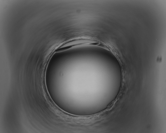 X0000089930001200707061049