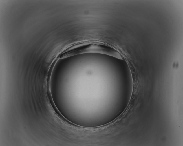 X0000089930002200707061049