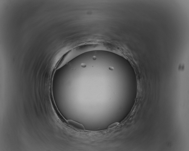 X0000089930003200707061049