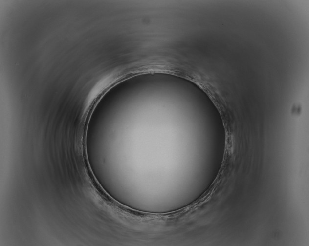 X0000089930004200707061049