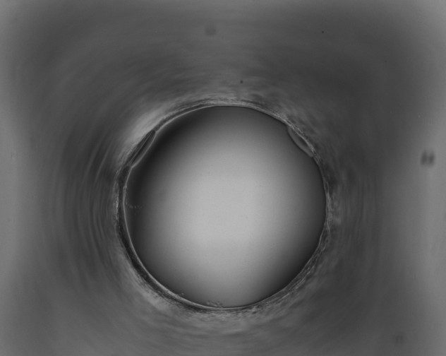 X0000089930005200707061049