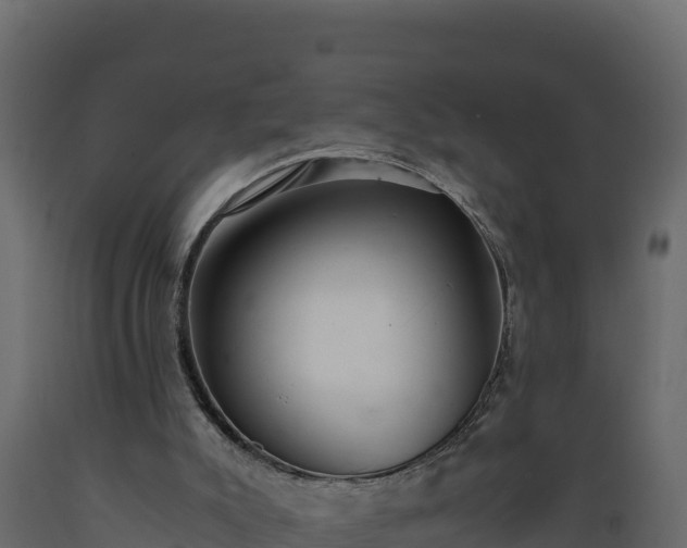 X0000089930007200707061049