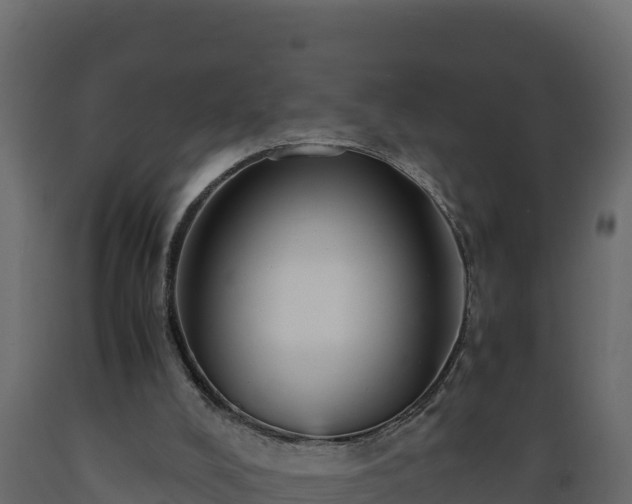 X0000089930008200707061049