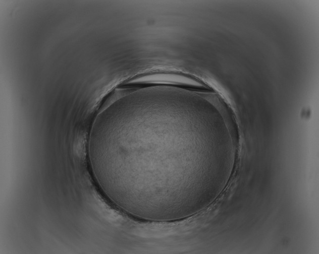 X0000089930009200707061049