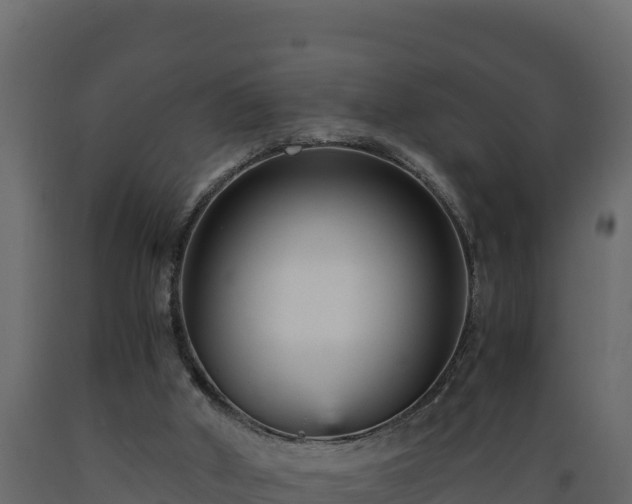 X0000089930010200707061049