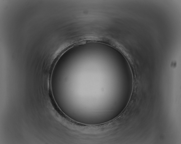 X0000089930011200707061049