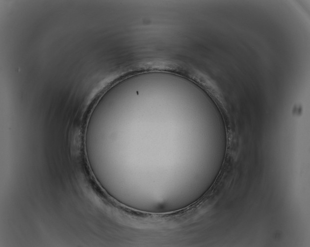 X0000089930012200707061049