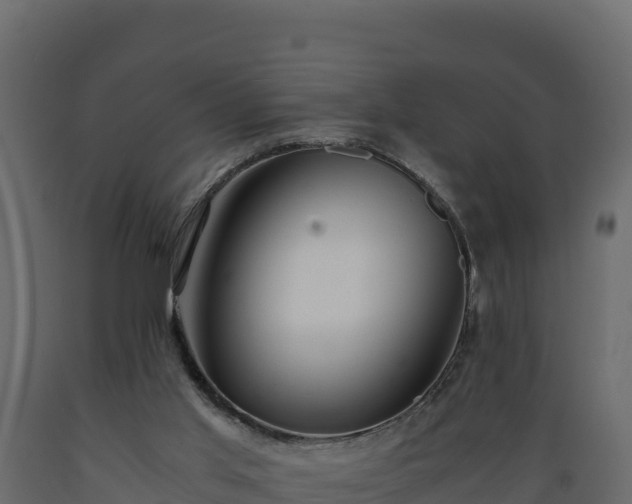 X0000089930013200707061049