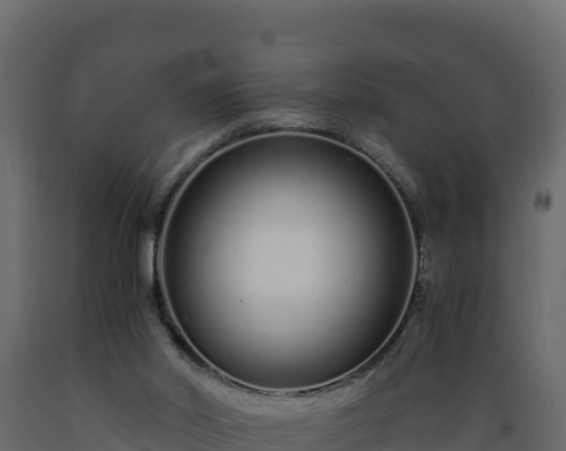 X0000089930014200707061049