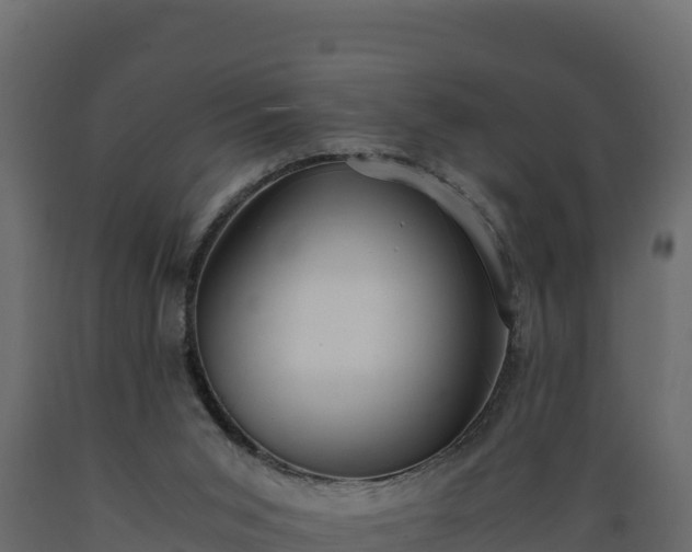 X0000089930015200707061049