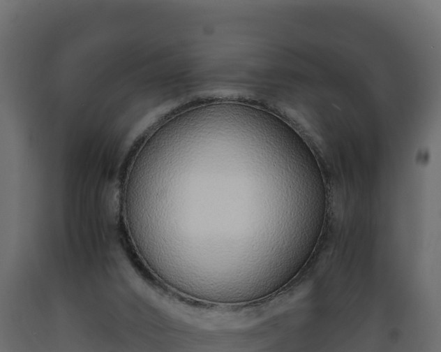 X0000089930016200707061049