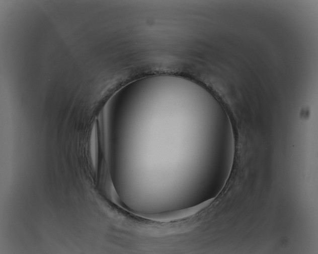 X0000089930017200707061049