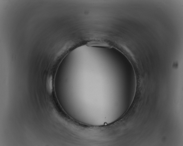 X0000089930020200707061049