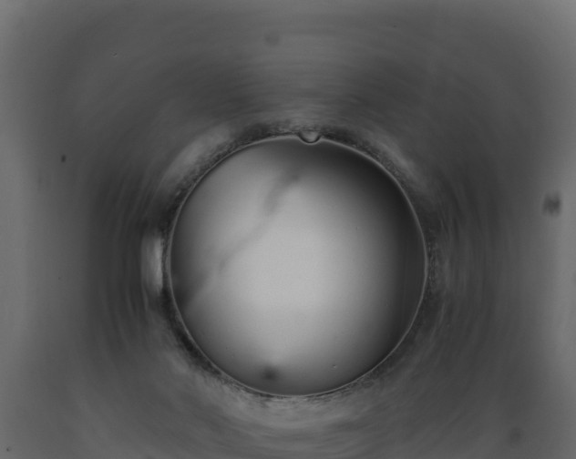 X0000089930022200707061049