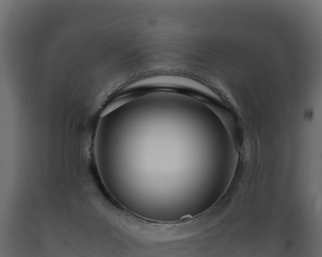 X0000089930023200707061049