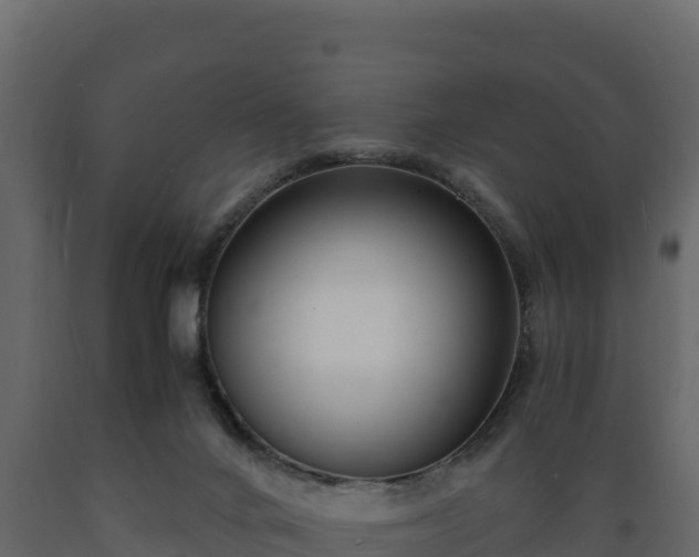 X0000089930024200707061049