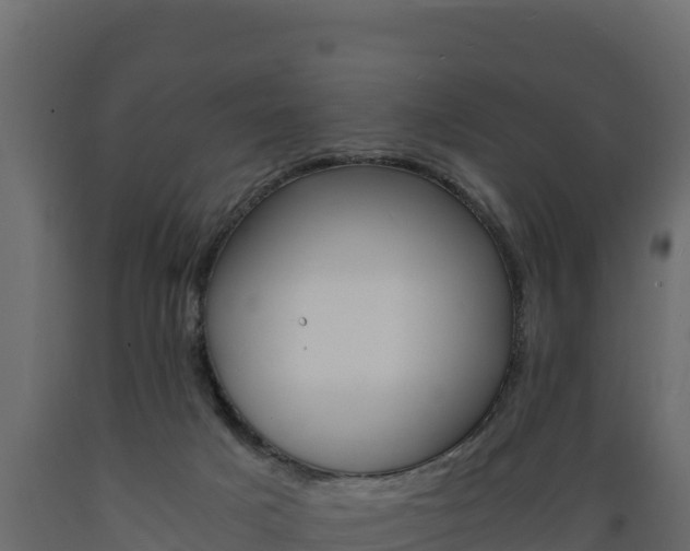 X0000089930025200707061049