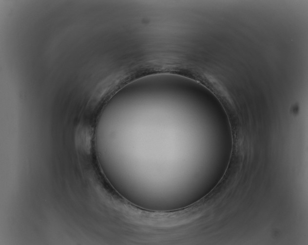 X0000089930026200707061049