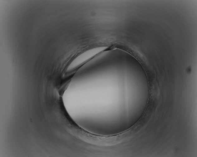 X0000089930027200707061049