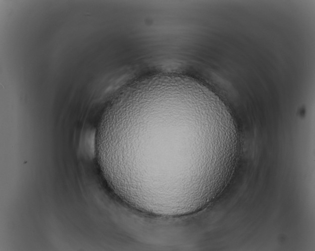 X0000089930028200707061049