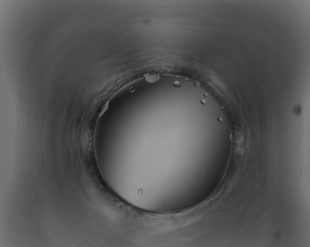 X0000089930029200707061049