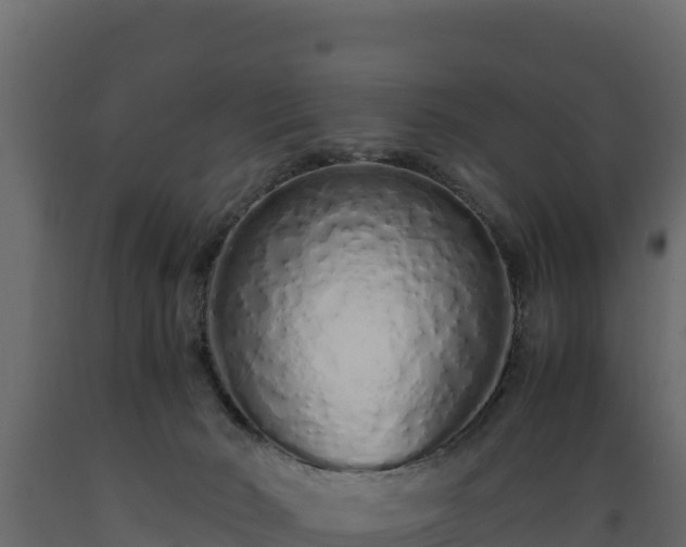 X0000089930030200707061049