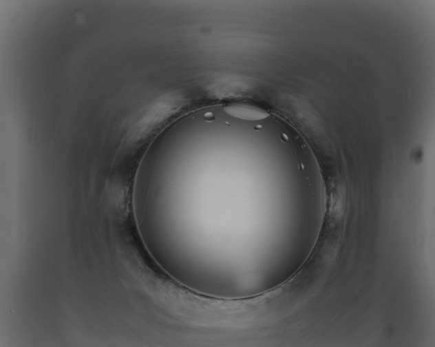 X0000089930031200707061049