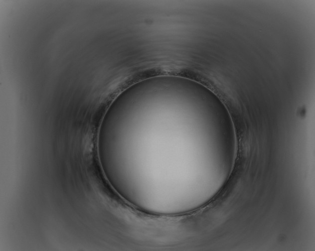 X0000089930032200707061049