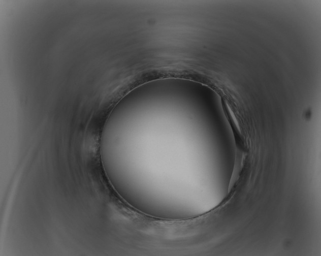 X0000089930033200707061049